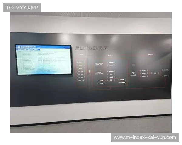 社交媒体矩阵的深度联动在本阶段显著放大了品牌曝光的长尾效应